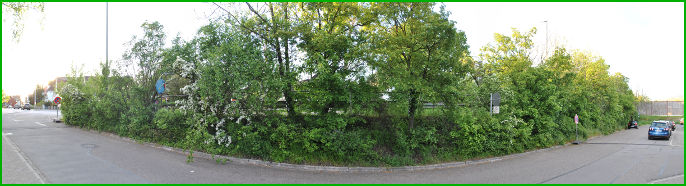 Bild "„Mobilitäts“-Märchen:BrueckenStrBoeschung.jpg"